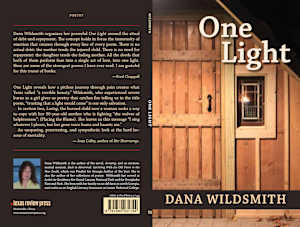 One Light