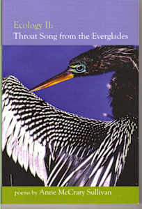 Everglades I