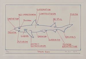 Shark Barr