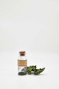 Everglades Historical Pigments series