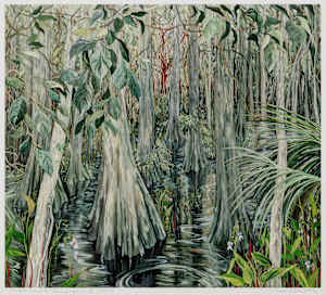 Gumbo-Limbo