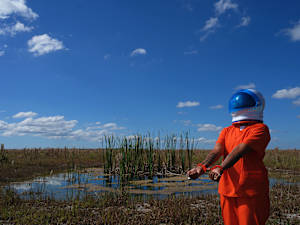 Land of the FREE? - Home of the BRAVE
