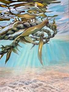 Saltwater Blessings
