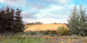 Afternoon In Skåne