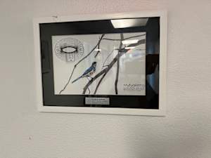 Mutualismo - Dolores Adame Award 2018