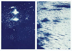 Raisin River 1 (diptych)