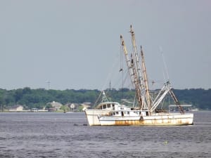 Shrimp Boat on the Water
