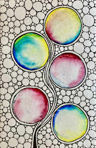 Whimsy