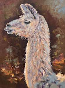 Lucy Llama
