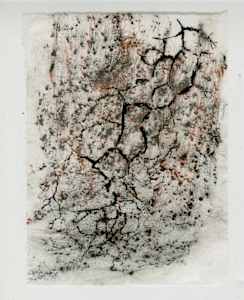 Joya Patterns: Cracked Clay with Dirt