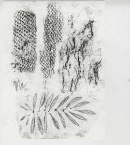 Joya Patterns Olive Leaves and Bark and Tile