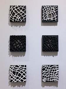 3D Nets (Black and White Series)