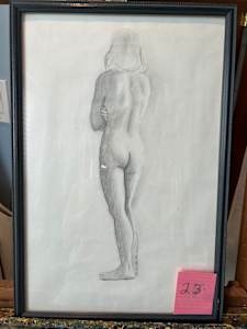Bitter Wilma