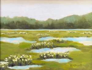 Cahaba River Lillies
