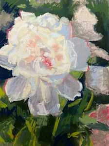 White Peony