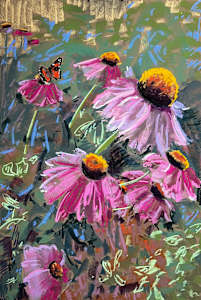 Monarch and Coneflowers