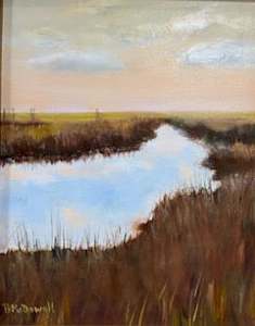 Wetlands: Nature's Nursery
