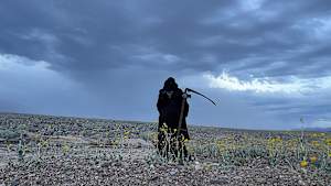 Death Takes a Holiday