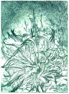 Agave Monoprints #2