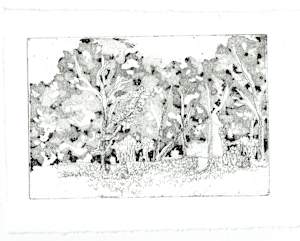 Treptower Park 1/18