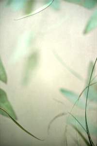 diannepoinski.CoolBreeze2