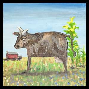 Princess Of The Pasture