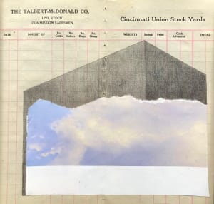Borrowed Skies: Between Wasteland and Chaos xvi