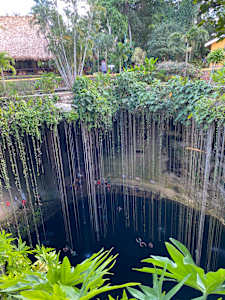 Cenote Ik Kil, Chichen Itza,  PhotoPrint