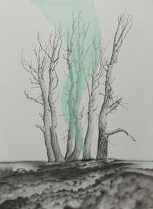 Uprooted