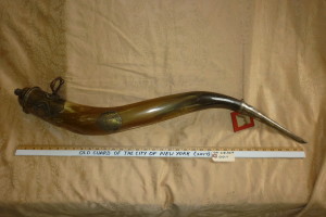 Horn with Sterling Trim