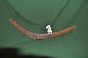 Boomerang