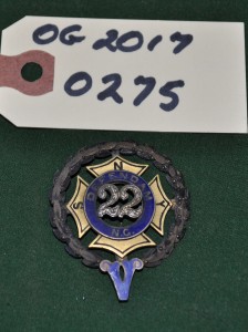 22nd Regiment Pin