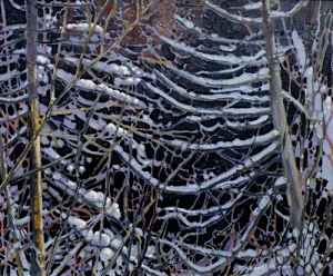 Northern Forest, Algoma
