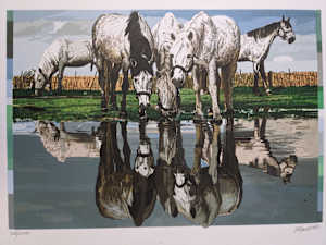 Horses of the Camargue