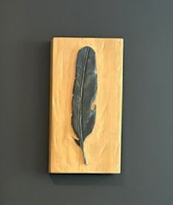 Plume grise/ Grey Feather