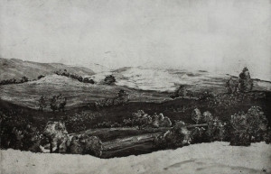 bird hill