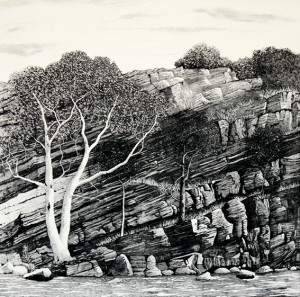 dights falls