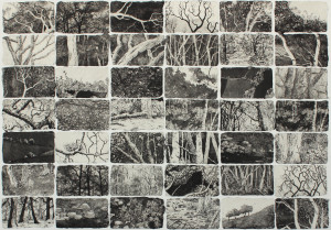 fragments of home