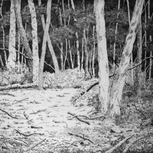 the clearing