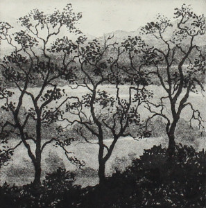 three trees and landscape