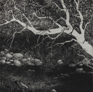 yarra bend