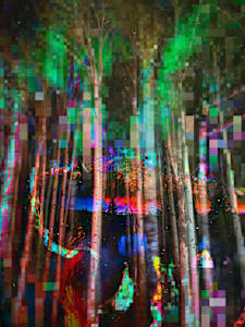 Vagabond - Buffalo Dreams