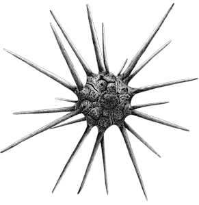 Porte-lance