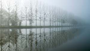 Misty Illusion