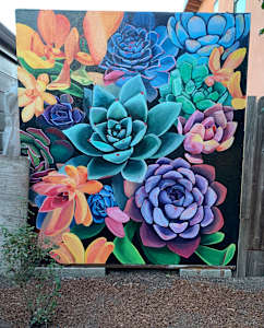 Succulents in Backyard