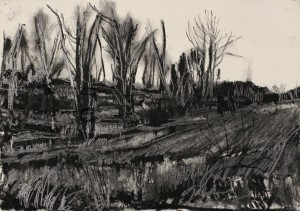 Graphite Field