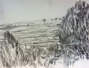 Pine Valley
