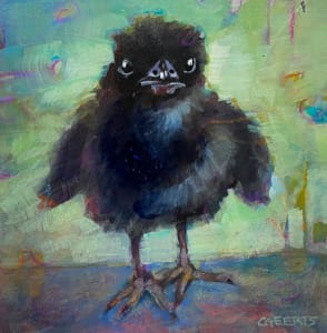 Baby Crow