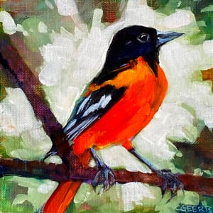 Oriole