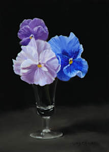Pansy Trio